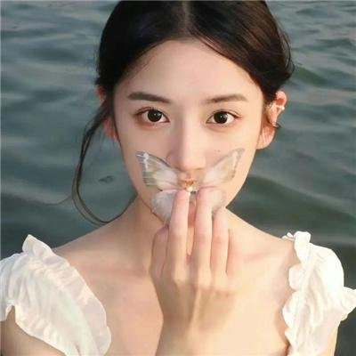 街上无树
