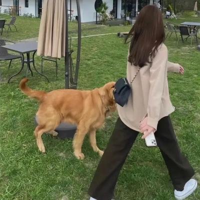 对父亲的爱