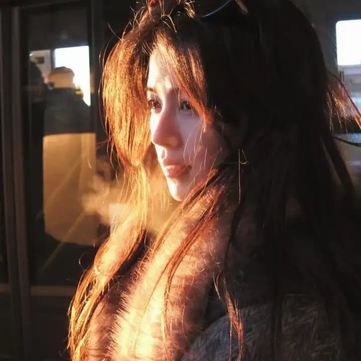 绝望主妇第五季